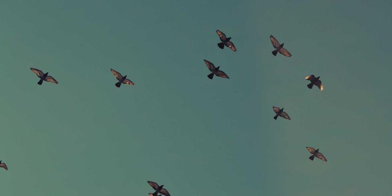 沈阳厨饰记:L型、U型、一字型厨房布局深度测评,找到最适合你的动线