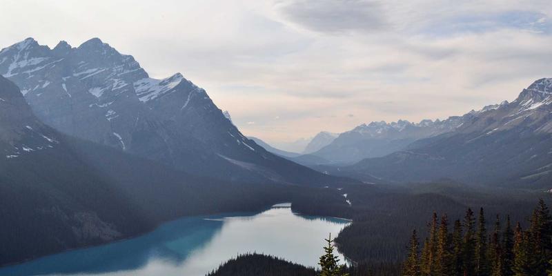 沈阳厨饰记：厨房垃圾处理器选购与使用全攻略，打造高效洁净的现代厨房