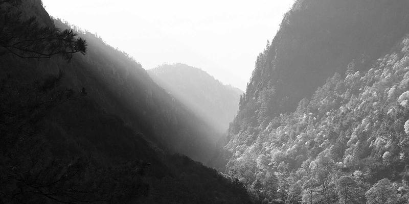 沈阳厨饰记:厨房插座布局的科学规划,告别电线缠绕与插座不够用