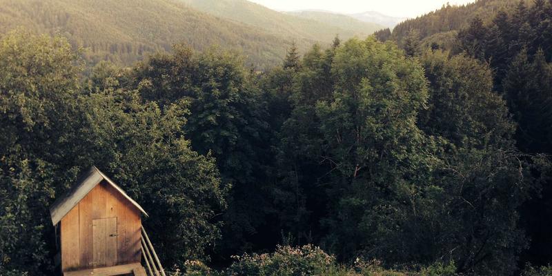 沈阳厨饰记:巧用厨房窗台与窗户,打造收纳与景观兼备的休闲美学角