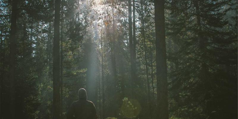 沈阳厨饰记：开放式厨房与封闭式厨房的终极抉择，油烟、空间与生活美学的深度博弈