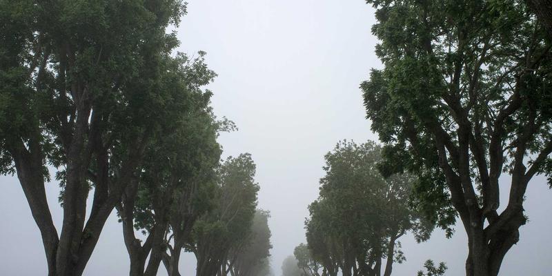 沈阳厨饰记：掌握这5个沟通心法，让设计师精准实现你的梦想厨房