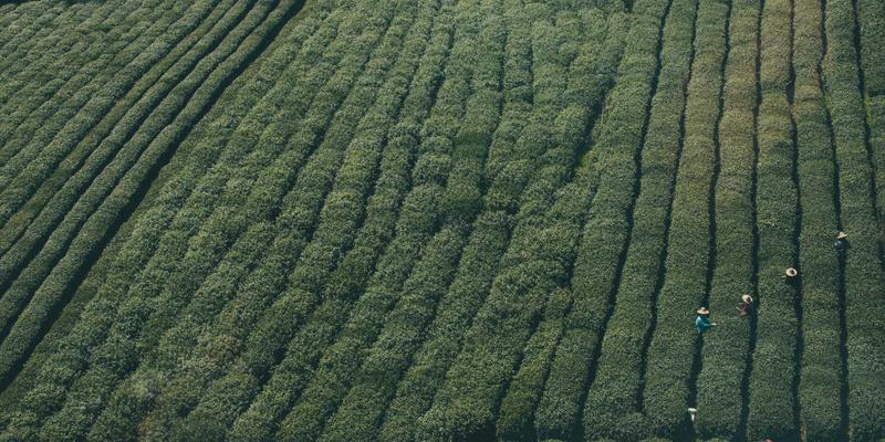 沈阳厨饰记:适老化厨房安全改造全攻略,从卫浴经验看家居无障碍设计