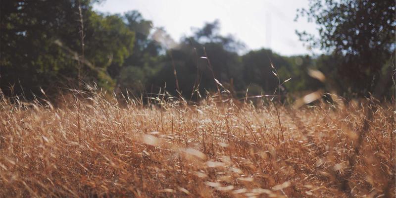 沈阳厨饰记风格解码:现代简约风厨房的色彩哲学与材质密码